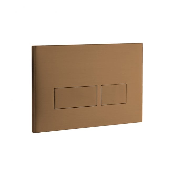 Abacus Trend 2 Flush Plate
