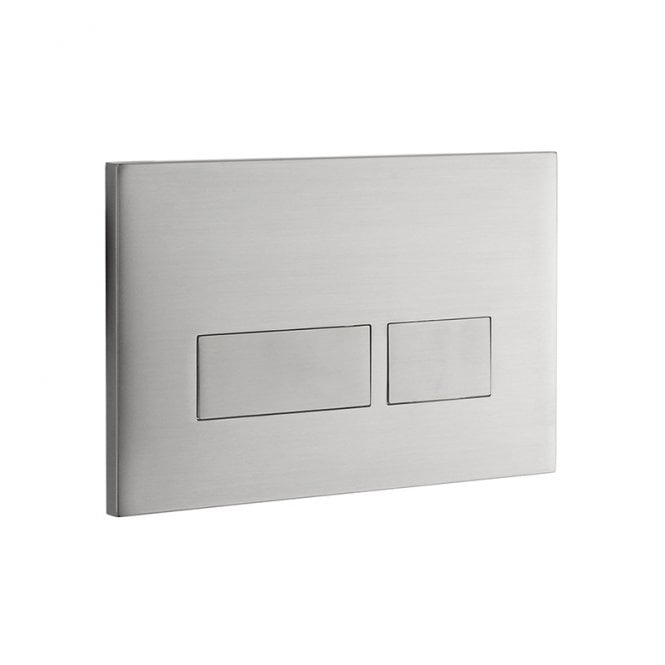 Abacus Trend 2S Flush Plate